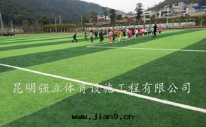 專業承接塑胶(jiāo)跑道(dào)、硅PU球场(chǎng)、人造足球场(chǎng)工程