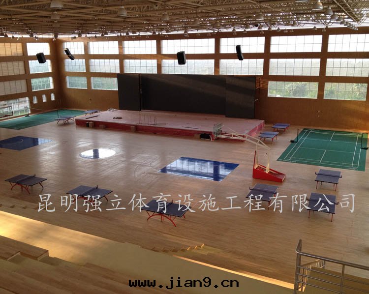 小龍潭(tán)第三(sān)分(fēn)监獄風(fēng)雨(yǔ)会(huì)场(chǎng)體(tǐ)育館(guǎn)木(mù)地(dì)闆及(jí)配套(tào)设施工程