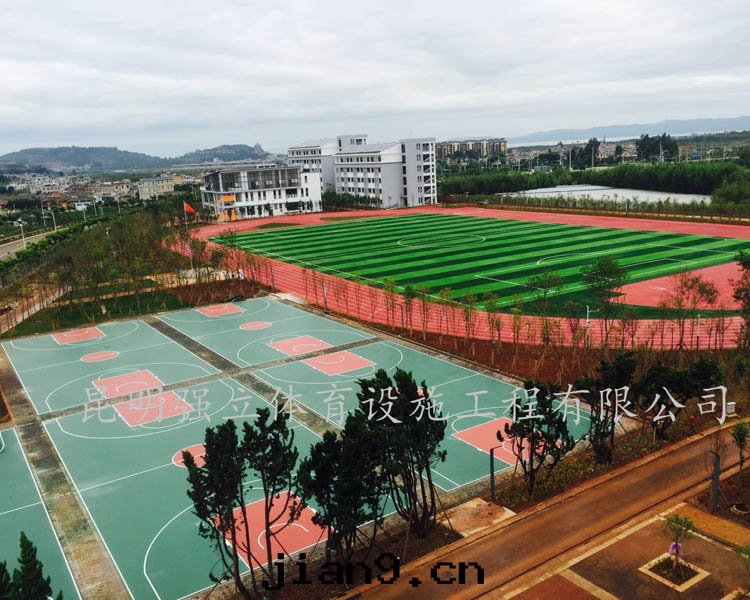 大(dà)漁中(zhōng)學(xué)運動(dòng)场(chǎng)建設項目